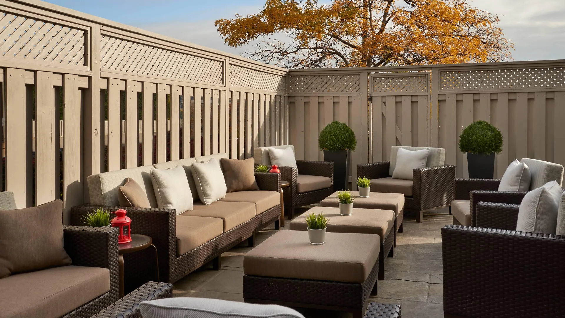 Courtyard By Marriott Toronto Airport Hotel Canada
