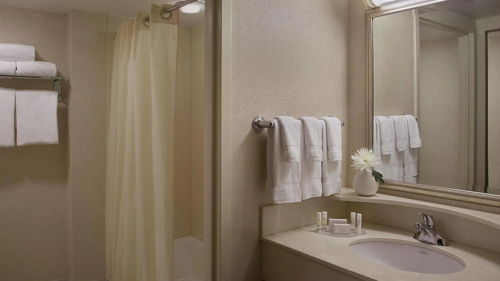 Courtyard By Marriott Toronto Airport Hotel